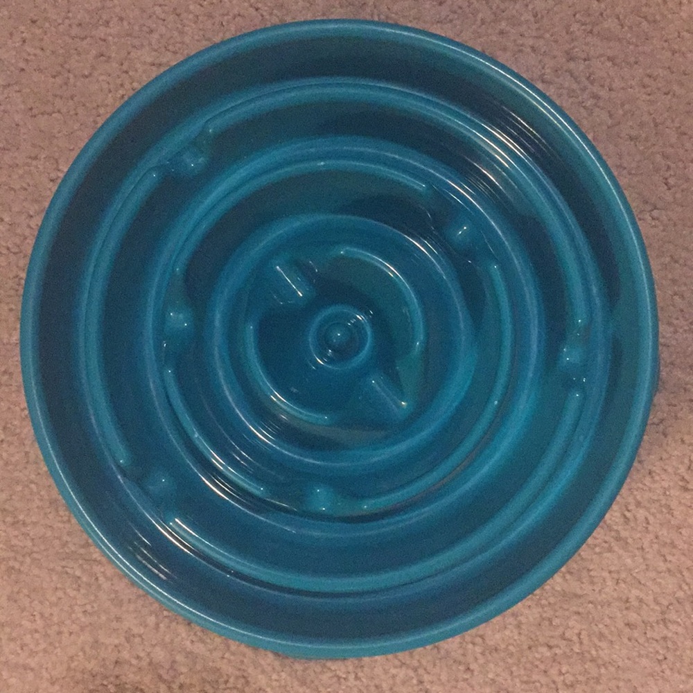 Dog Bowl